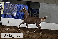 10r12_7607 proof
