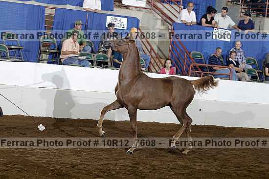 Proof 10r12_7608