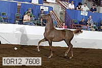 10r12_7608 proof