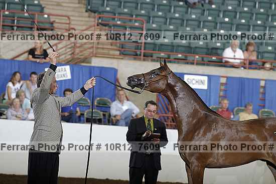 Proof 10r12_7609