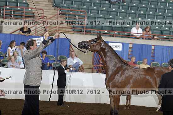 Proof 10r12_7612