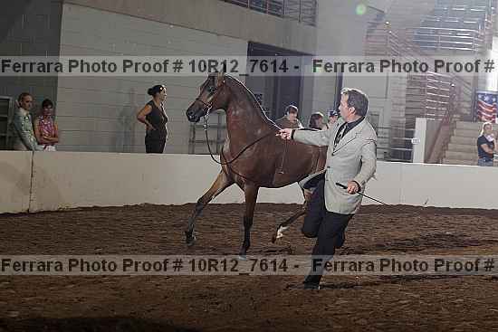 Proof 10r12_7614