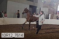 10r12_7614 proof