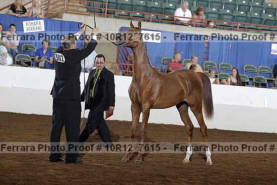 Proof 10r12_7615