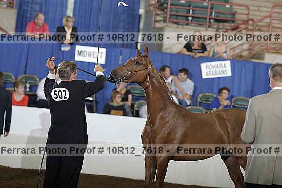 Proof 10r12_7618