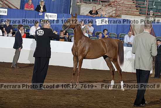 Proof 10r12_7619
