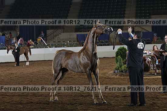 Proof 10r12_7621