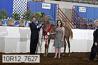 10r12_7627 proof