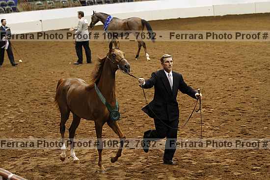 Proof 10r12_7632