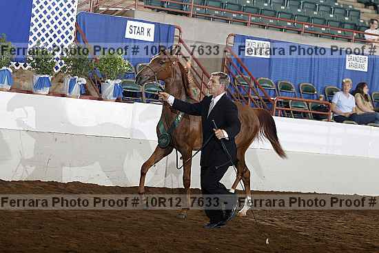 Proof 10r12_7633