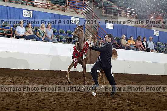 Proof 10r12_7634