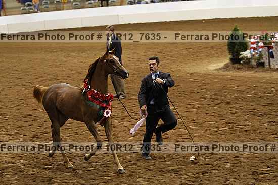 Proof 10r12_7635