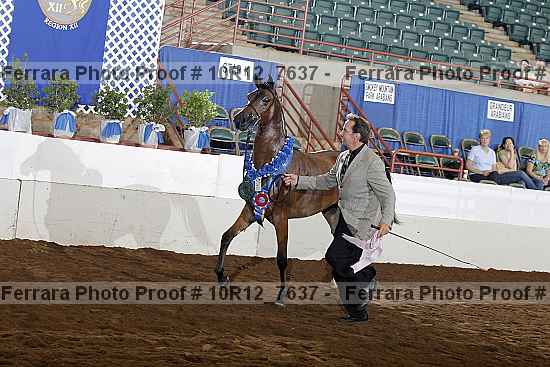 Proof 10r12_7637