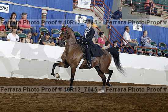 Proof 10r12_7645