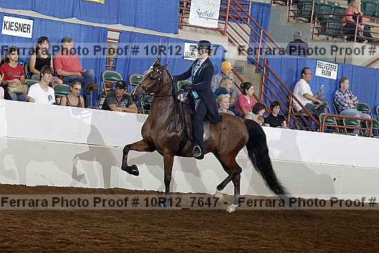 Proof 10r12_7647