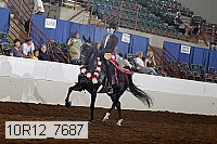 10r12_7687 proof