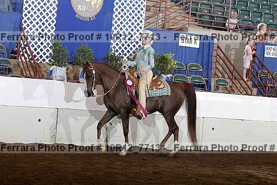 Proof 10r12_7713
