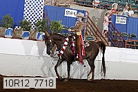 10r12_7718 proof