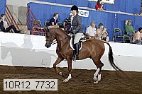 10r12_7732 proof