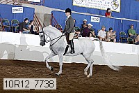 10r12_7738 proof