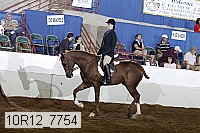 10r12_7754 proof