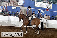 10r12_7764 proof