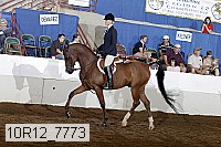 10r12_7773 proof