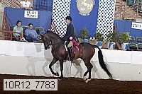 10r12_7783 proof