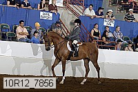 10r12_7856 proof