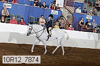 10r12_7874 proof
