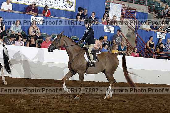 Proof 10r12_7892