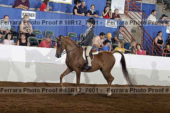 Proof 10r12_7901