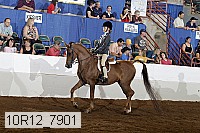 10r12_7901 proof