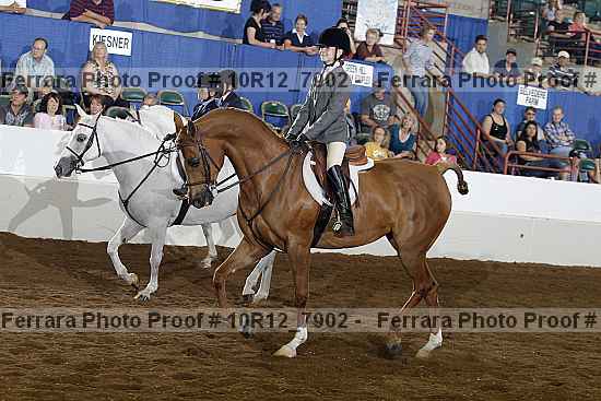 Proof 10r12_7902