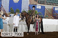 10r12_7906 proof