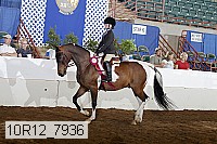 10r12_7936 proof