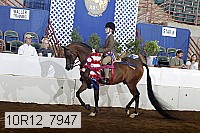 10r12_7947 proof