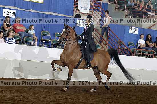 Proof 10r12_7974