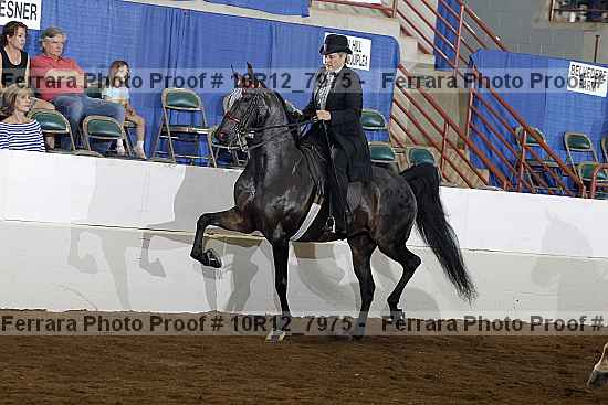Proof 10r12_7975
