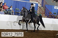 10r12_7975 proof