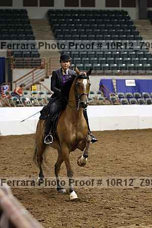Proof 10r12_7980