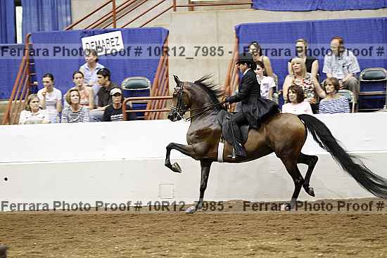 Proof 10r12_7985