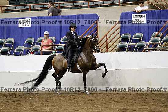 Proof 10r12_7990