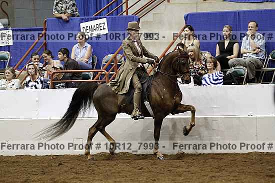 Proof 10r12_7993