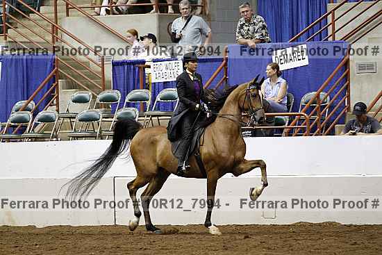 Proof 10r12_7994