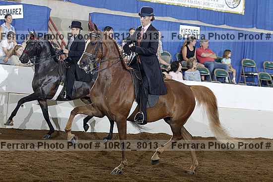 Proof 10r12_8013