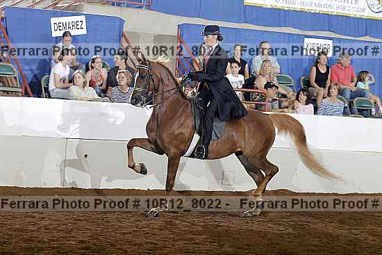 Proof 10r12_8022
