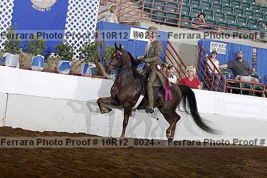 Proof 10r12_8024
