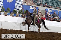 10r12_8024 proof