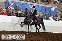 10r12_8027 proof